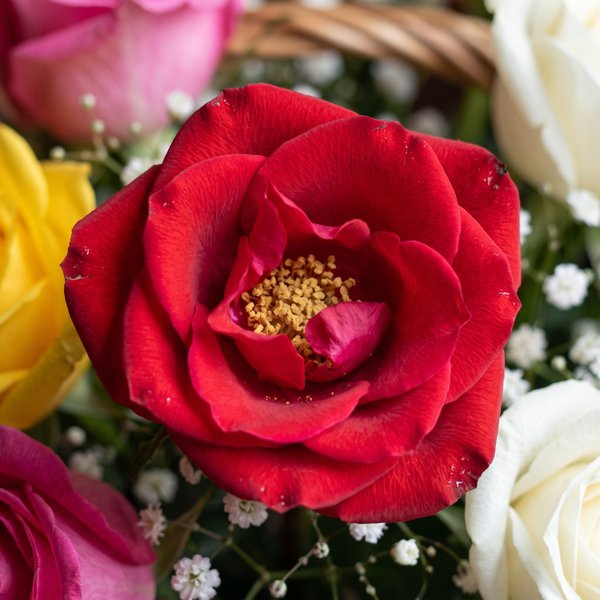 Cesta Floral