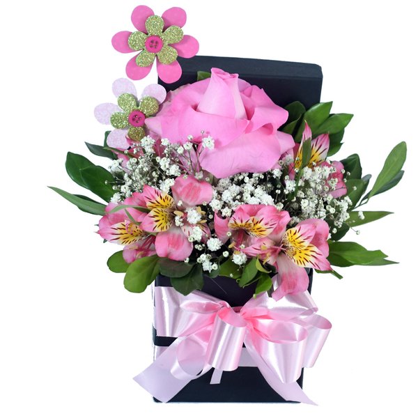 Box Elegance Rosada