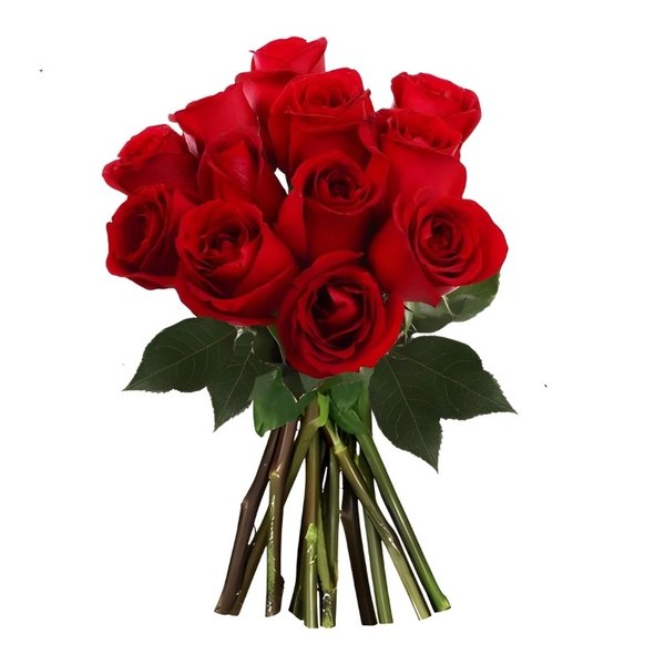 Dúzia de Amor