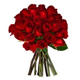 Imagem de Pura Paixão