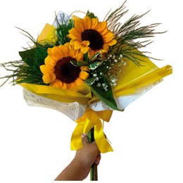 Imagem de Dupla De Girassol