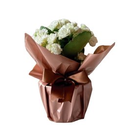 Imagem de Kalandiva Embalada