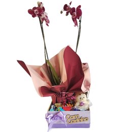 Imagem de Caixa Mdf Com Orquidea