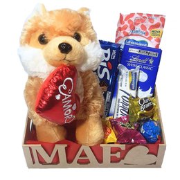 Imagem de Cesta Mãe Com Lindt e Cachorro Caramelo