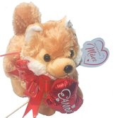 Cachorrinho Caramelo com Placa Feliz dia das Mães