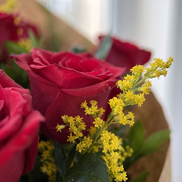 Buquê de Rosas Vermelhas Embalagem Rústica