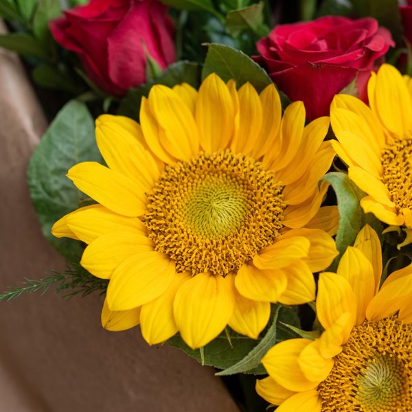 Ramalhete Rosas e Girassóis