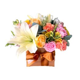 Imagem de Box Mix Encantado