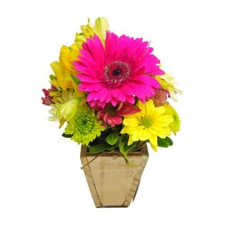 Imagem de Arranjo Mimo de Flores do Campo