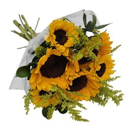 Imagem de Buquê de 6 Girassois  Radiantes