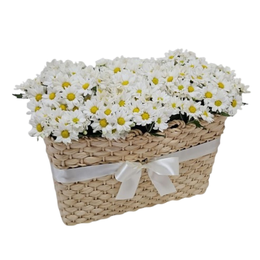 Imagem de Margaridas Floridas do Jardim