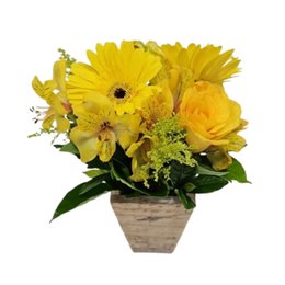 Imagem de Arranjo Sutilezas do Resplandecer