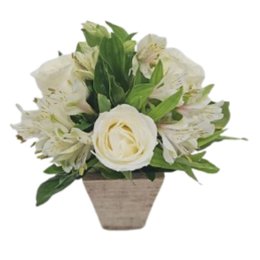 Imagem de Arranjo Sutilezas Nevadas