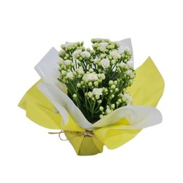 Imagem de Flor da Fortuna Branca