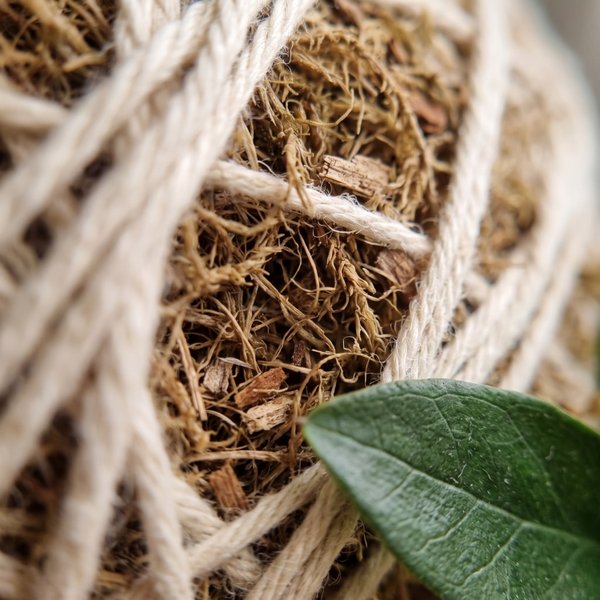 Kokedama De Mini Zamioculca Com Suporte