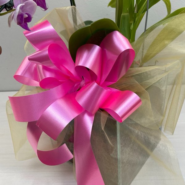 Arranjo Orquídeas Chuva de Ouro +Phalaenopsis no vidro