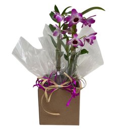 Imagem de Arranjo de Orquídea Olho-de-boneca 