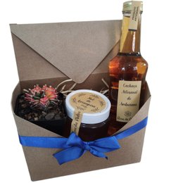 Imagem de Box Carta com Cacto Especial, Cachaça Artesanal e Mel