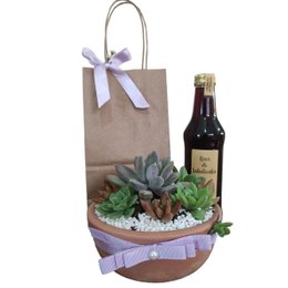 Imagem de Conjunto Suculentas mais Licor Artesanal