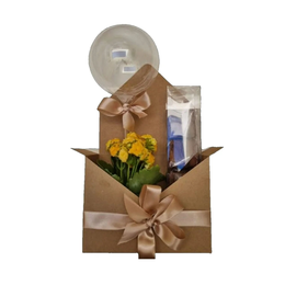 Imagem de Box Envelope Brownies BR Cookies