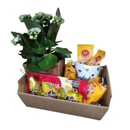 Imagem de Cesta Encanto para Todos