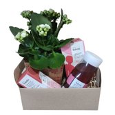 Cesta Relax com Natura