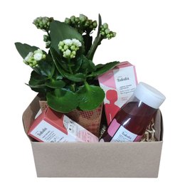 Imagem de Cesta Relax com Natura