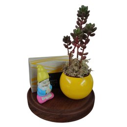 Imagem de Kit É Zen Lavabo Natura