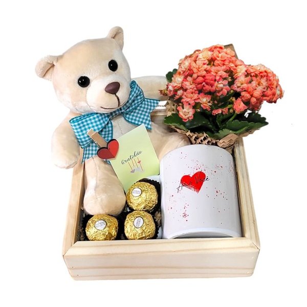 Box  Abraço Urso e Kalanchoe Laranja 