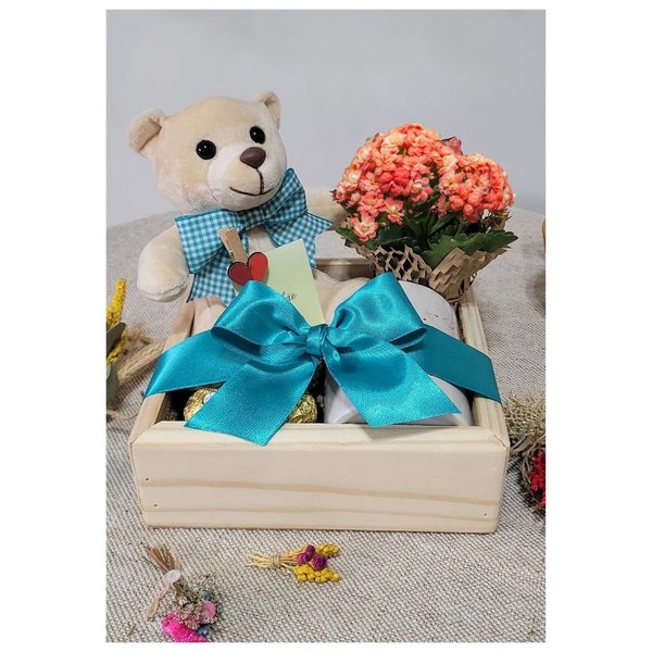 Box  Abraço Urso e Kalanchoe Laranja 