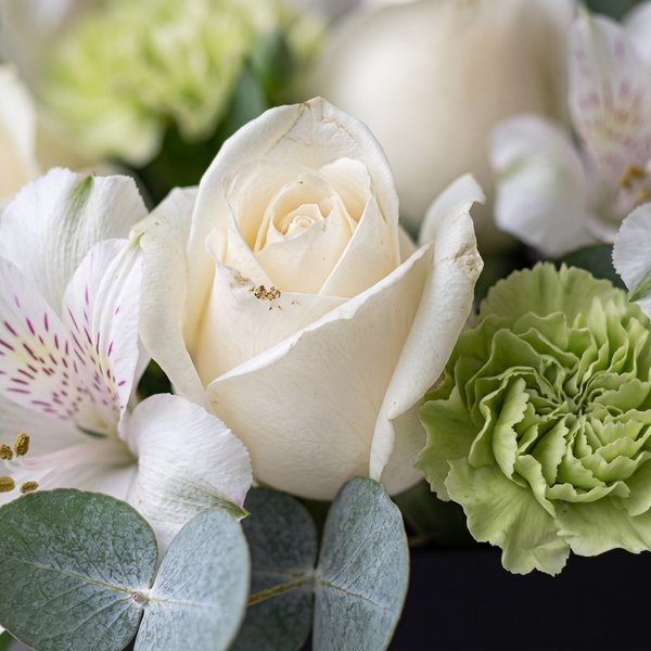 Flower Box Elegance M