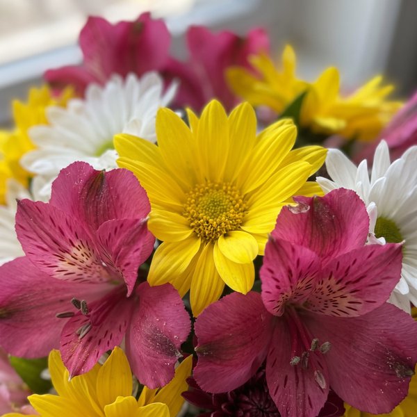 Vaso Petit Mix Flores