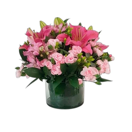 Imagem de Arranjo em vaso