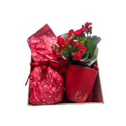 Imagem de Cesta de Natal Mimo e Carinho