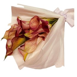 Imagem de Luxuoso Buque de Callas Premium