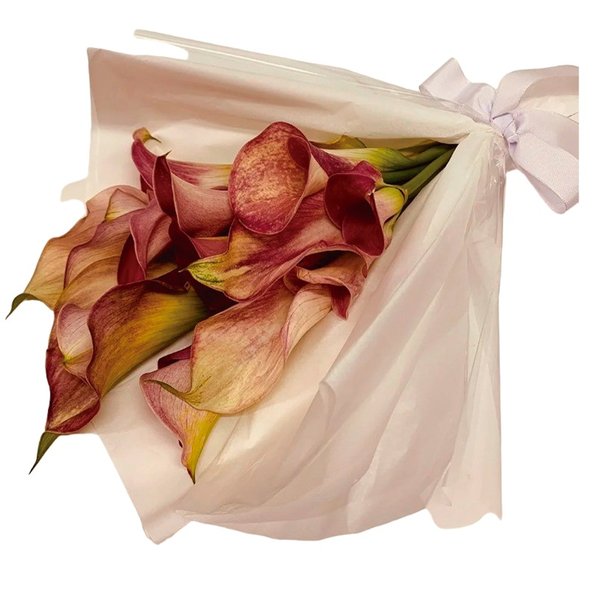 Luxuoso Buque de Callas Premium