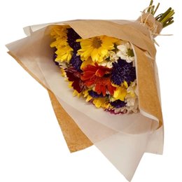 Imagem de Buque de Margarida Premium