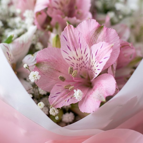 Astromelias com Gypsophila