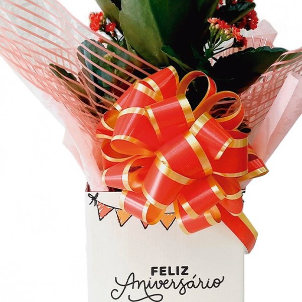 kalanchoes vermelhos em cachepo feliz aniversario