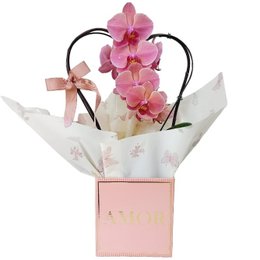 Imagem de Box Amor com Orquidea coração