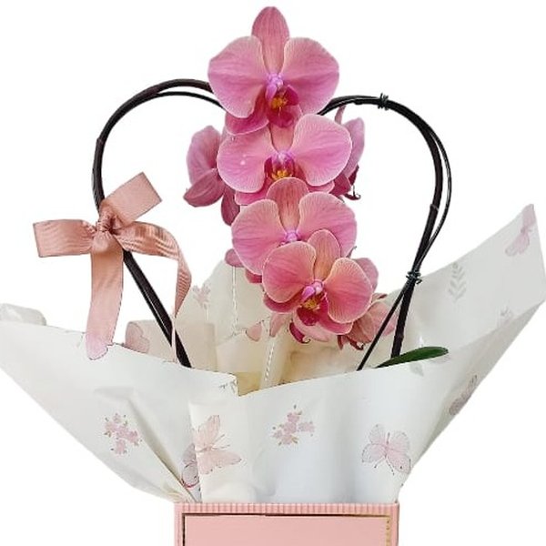 Box Amor com Orquidea coração