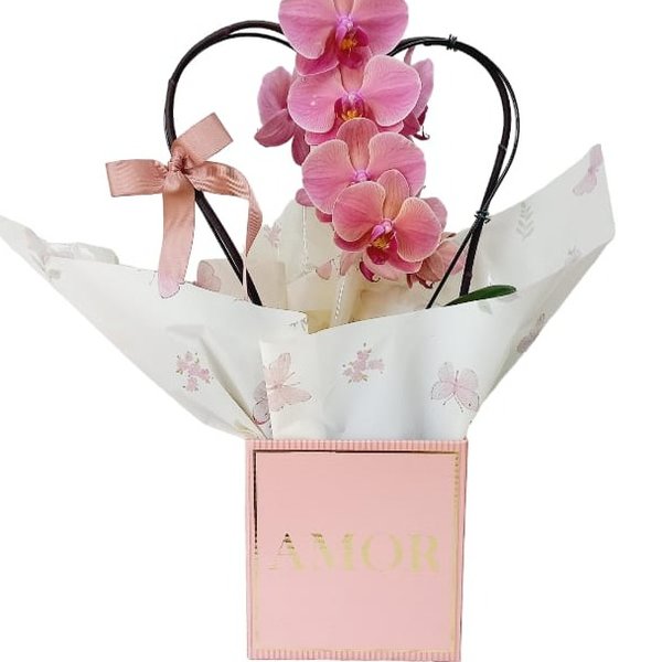 Box Amor com Orquidea coração