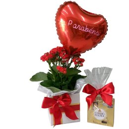 Imagem de Linda Flor da fortuna decorada