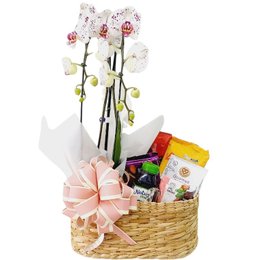 Imagem de Cafe da Manha com Orquideas