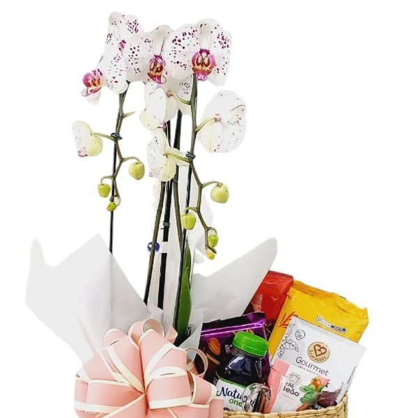 Cafe da Manha com Orquideas