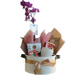 Imagem de Cesta Orquídea