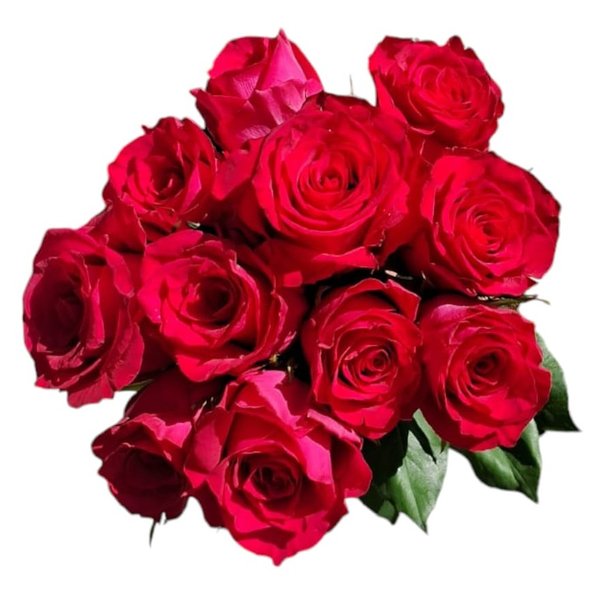 Buque Magia Pink