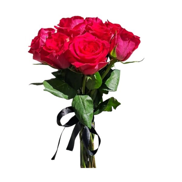 Buque Magia Pink
