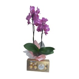 Imagem de Mini Orquídea Lilás com Chocolate Ferrero Rocher