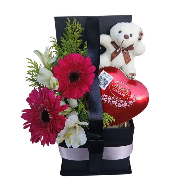 Gérbera Do Amor e Chocolate Lindt